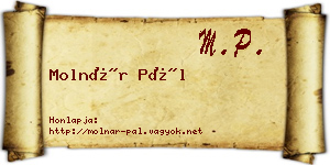 Molnár Pál névjegykártya